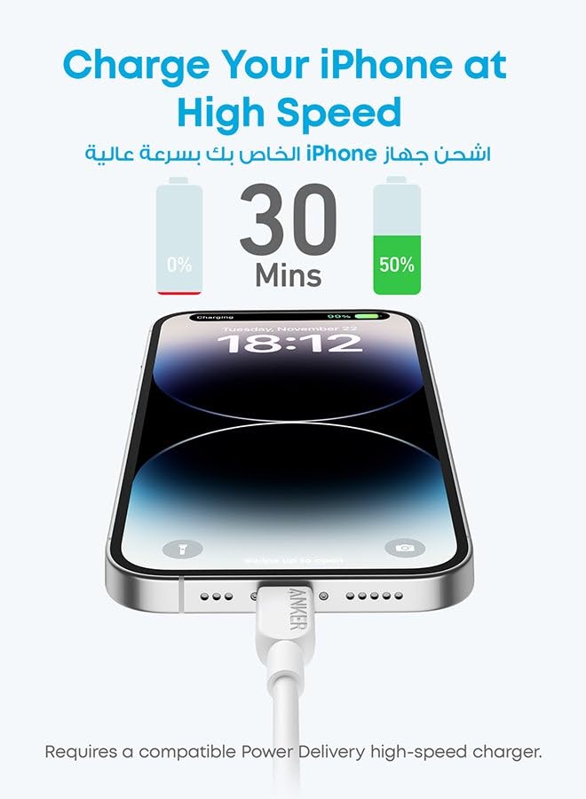 CABLE ANKER TYPE C- LIGHTNING