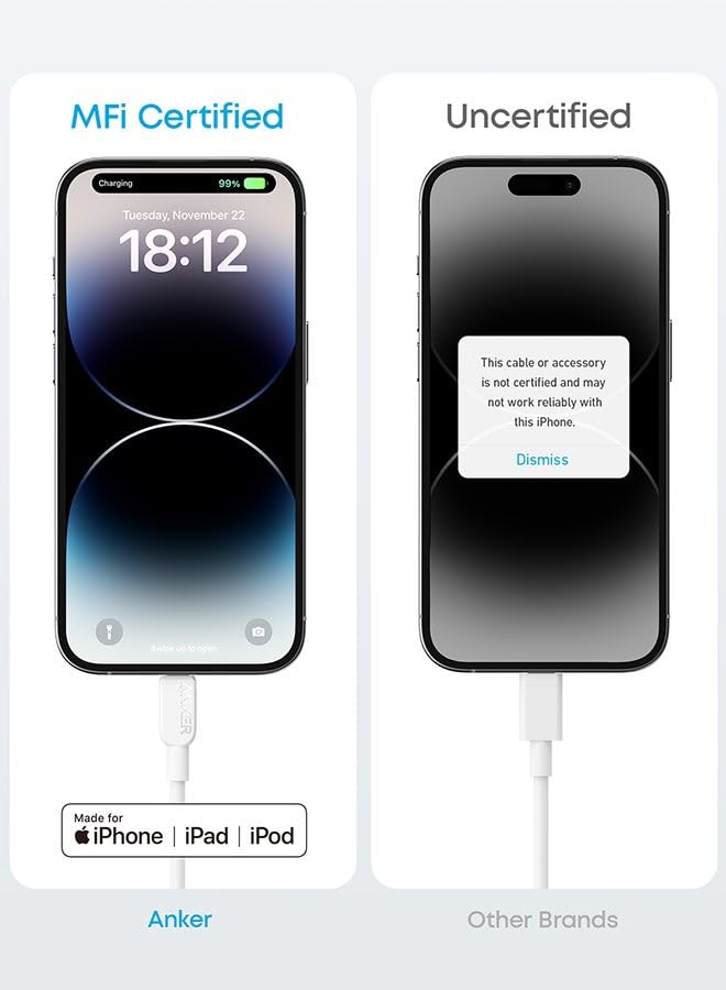 CABLE ANKER TYPE C- LIGHTNING
